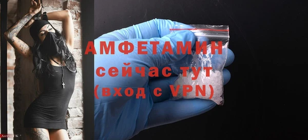 шишки Усолье-Сибирское