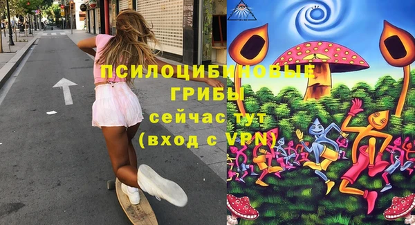 шишки Усолье-Сибирское