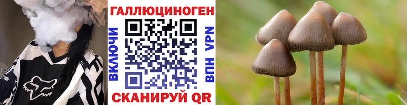 Купить  Теберда  Псилоцибиновые грибы Psilocybine cubensis 